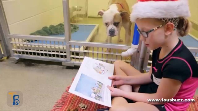 mission magnifique dans ce refuge pour animaux