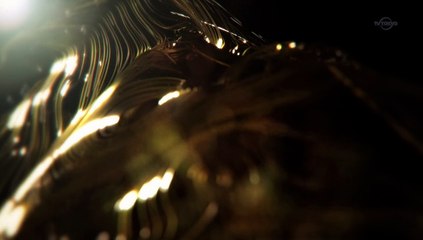 牙狼  09 GARO - GOLDSTORM