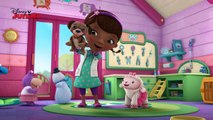 Get Your Pet to the Vet Song #1 | Doc McStuffins | Disney Junior UK