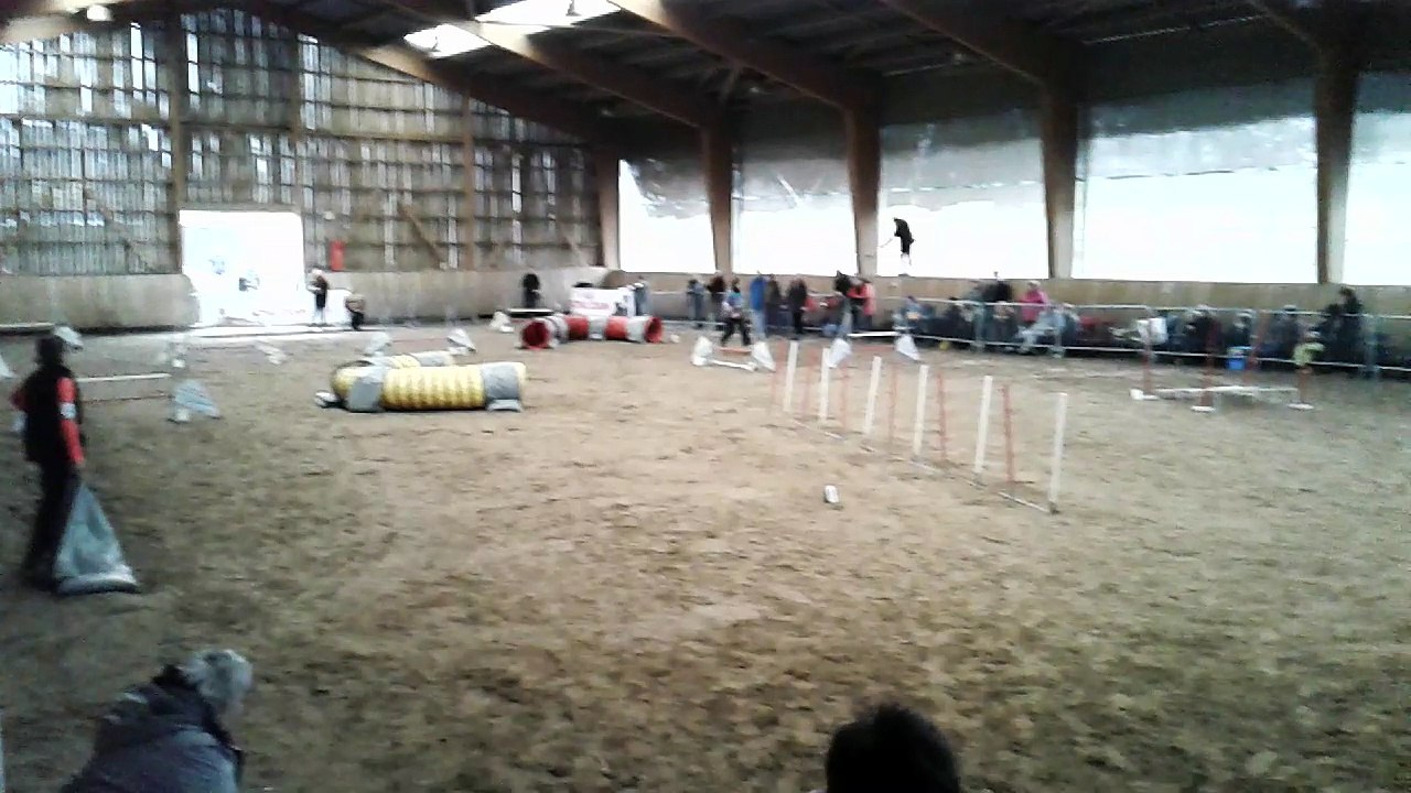 jumping FUNKY