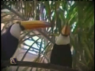 Detroit Zoo Ad from the 80s