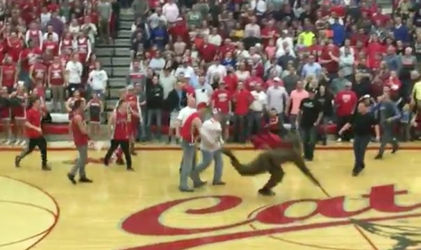 Quand les spectateurs s'attaquent à la mascotte !