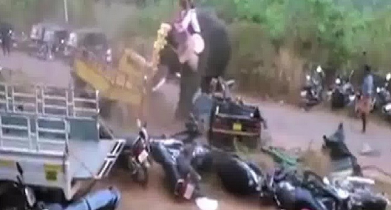 Un éléphant devient incontrôlable en Inde et sème la terreur