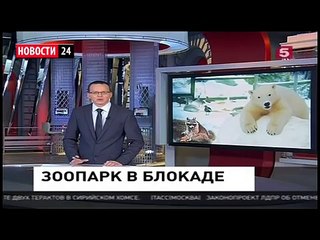 Download Video: Забастовка во Франции Франция парализована! Картина холокоста. Последние Новости России Европы Мира