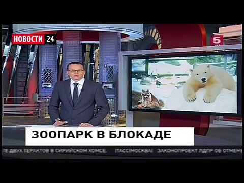 Забастовка во Франции Франция парализована! Картина холокоста. Последние Новости России Европы Мира