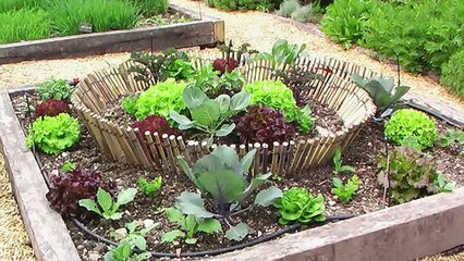 Декоративный огород