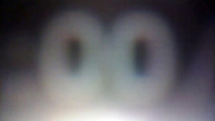 SpongeBob Theme Song in Macedonian (Сунѓерoт Бoб Пaнтaлoнoвски)