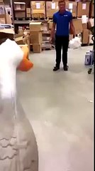 Screaming rubber duck kick