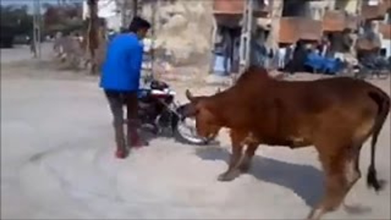 Best WhatsApp Funny Videos In Hindi Ever 2016 |...