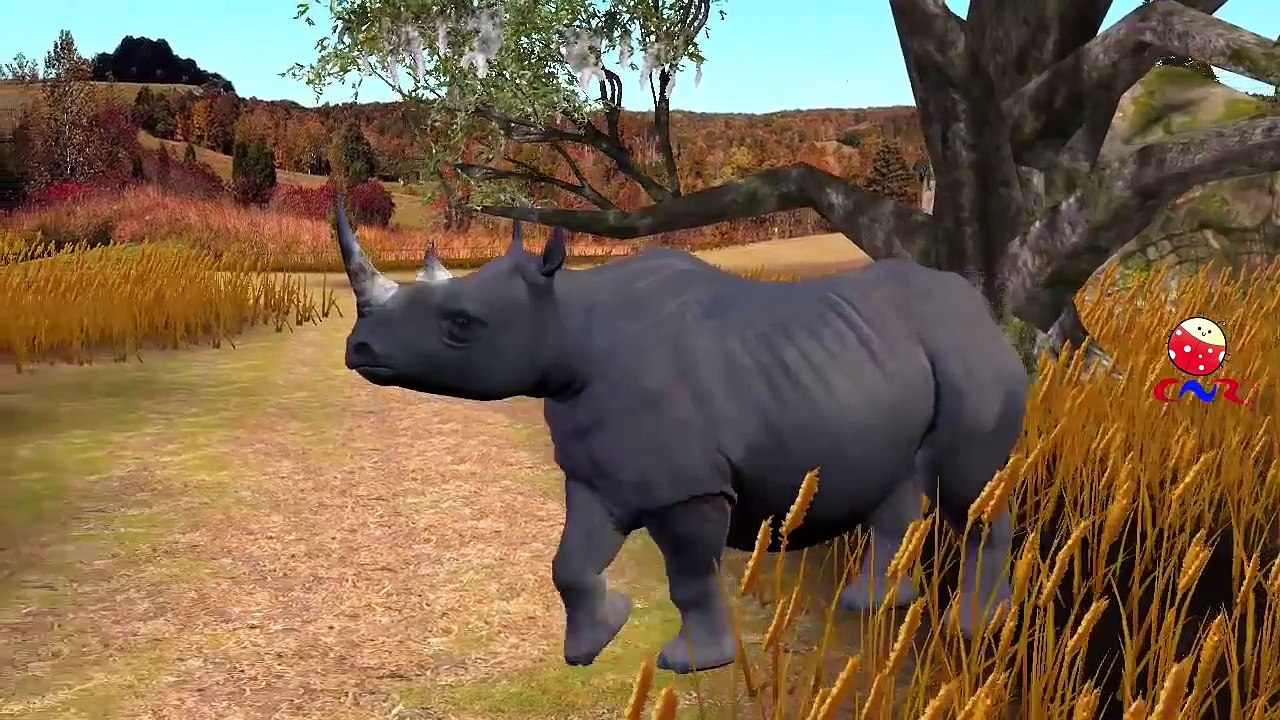 Finger Family Nursery Rhymes for Children Rhinoceros Cartoon | Finger Family Children Nursery Rhymes