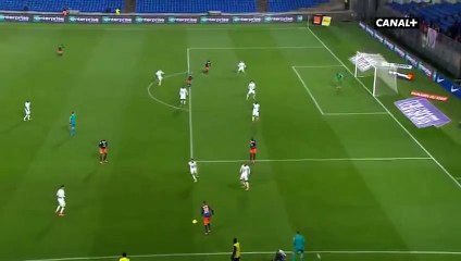 Berigaud K. Goal HD - Montpellier 1-0 Lille 27.02.2016