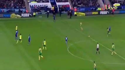 Jose Leonardo Ulloa goal - Leicester City vs Norwich City 1-0