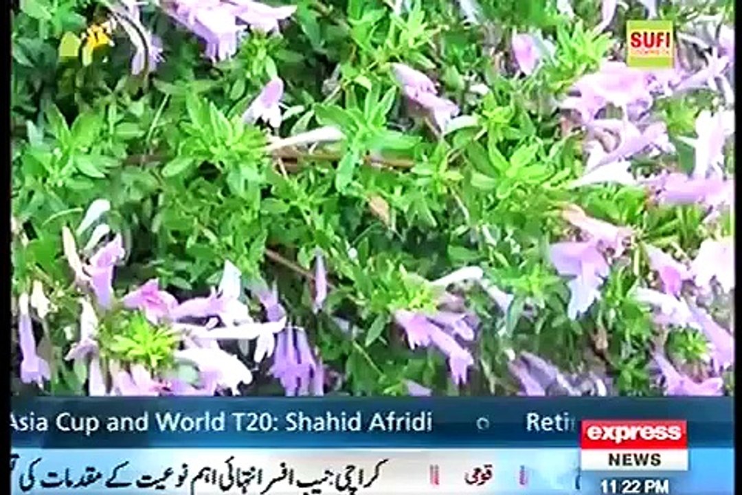 Khabardar with Aftab Iqbal - 26 February 2016 - Aamir Khan PK