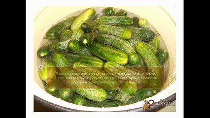 Маринованные огурцы с семенами горчицы. Заготовки на зиму