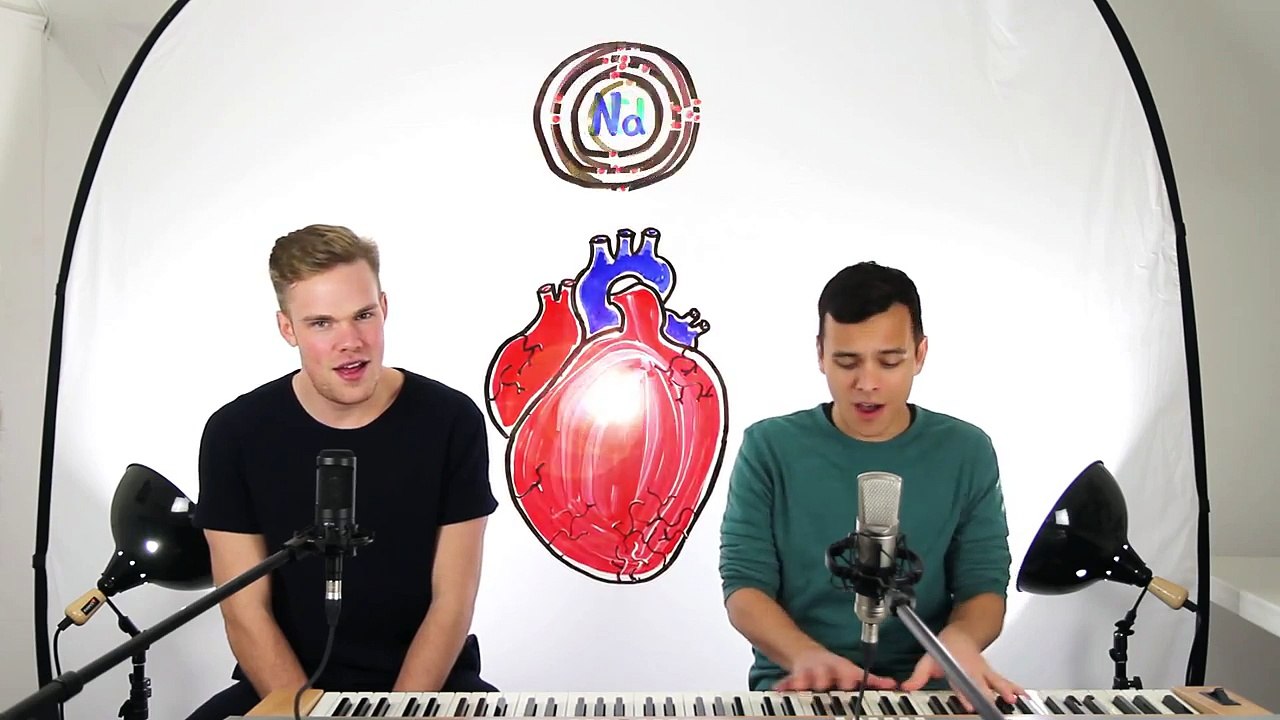 The Science Love Song