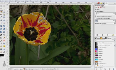 Gimp - Effet Color Splash
