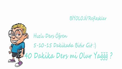 2 Dakikada Biyoloji Refleksler -6.Bölüm YGS-LYS