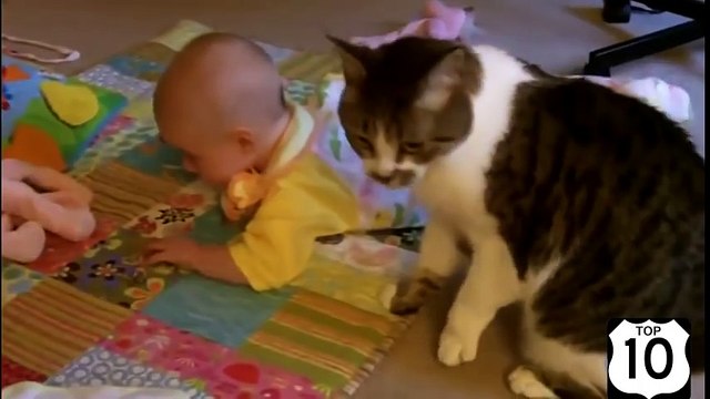 ТОП 10 ДЕТИ и КОТЫ МЛАДЕНЦЫ и КОШКИ НЕРЕАЛЬНО СМЕШНО)))))