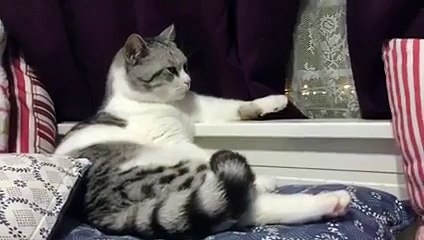 Geç Saate Kadar Eve Gelmeyen Çocuğunu Bekleyen Anne !