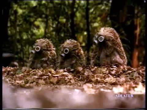 Смешная реклама Ёжики и мерседес