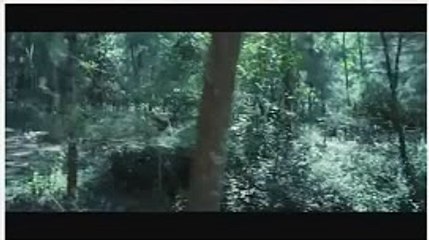 블랙잭주소【 KOP77。COM 】바카라사이트