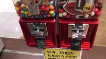 Egg Shaped Gumball Machine ～ たまごガム 色占い ガムボールマシン