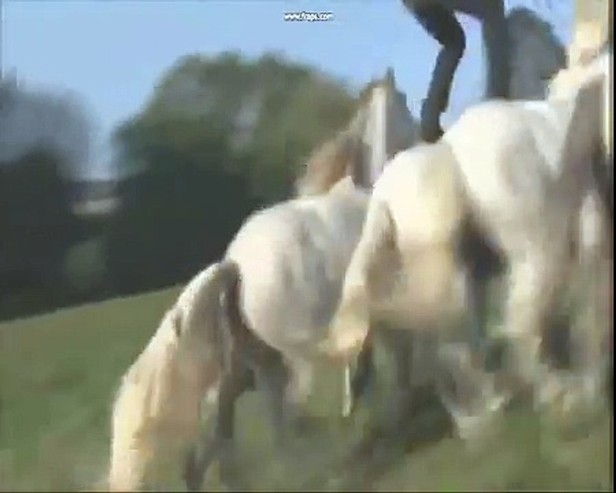 Lorenzo - NEW DVD 2011 French fly horse man VIDEO