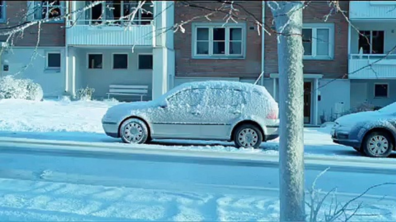 Flax Frost - The sweetest thing