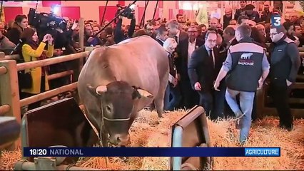 Salon de l'agriculture : François Hollande hué et insulté