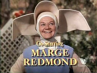 The Flying Nun 210 Slightly Hot Parking Meters