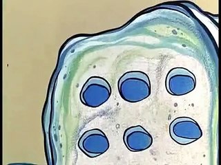 THE FLINTSTONES-FRED & BARNEY IN DRAG