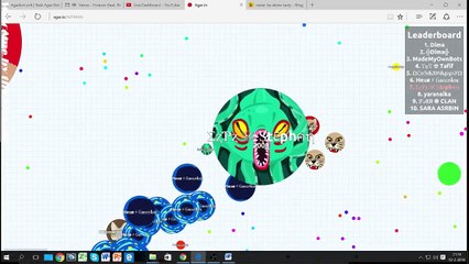 Agar.io Playouts 3
