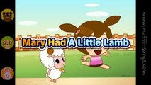 Mary Had A Little Lamb  Family Sing Along - Muffin Songs