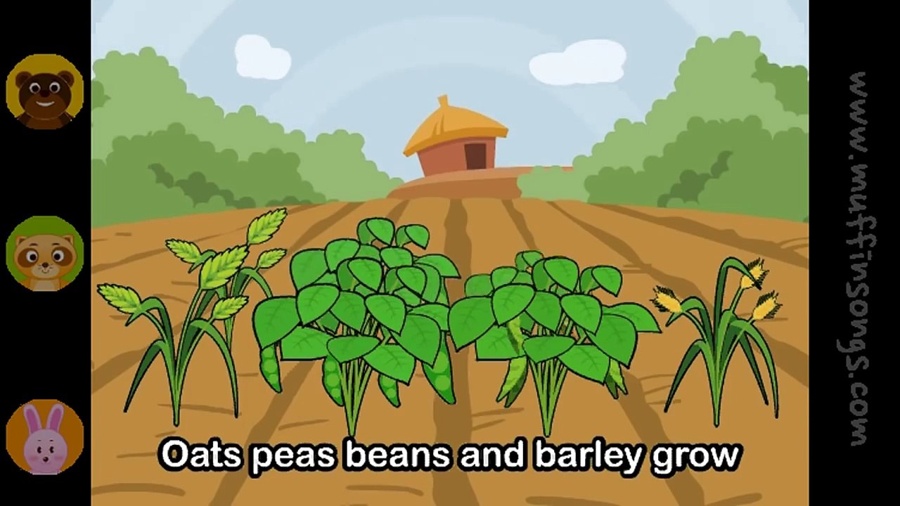 Oats Peas Beans and Barley Grow  Family Sing Along - Muffin Songs