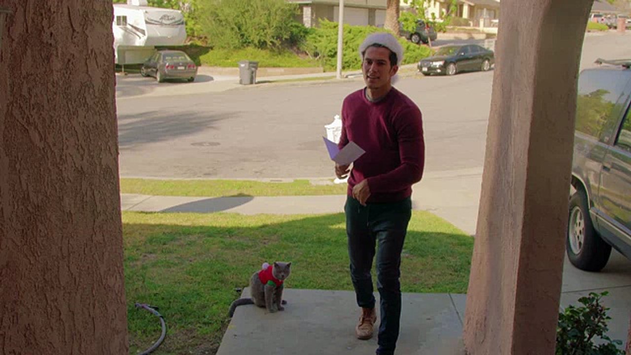 Christmas Carol Cats - Aarons Animals