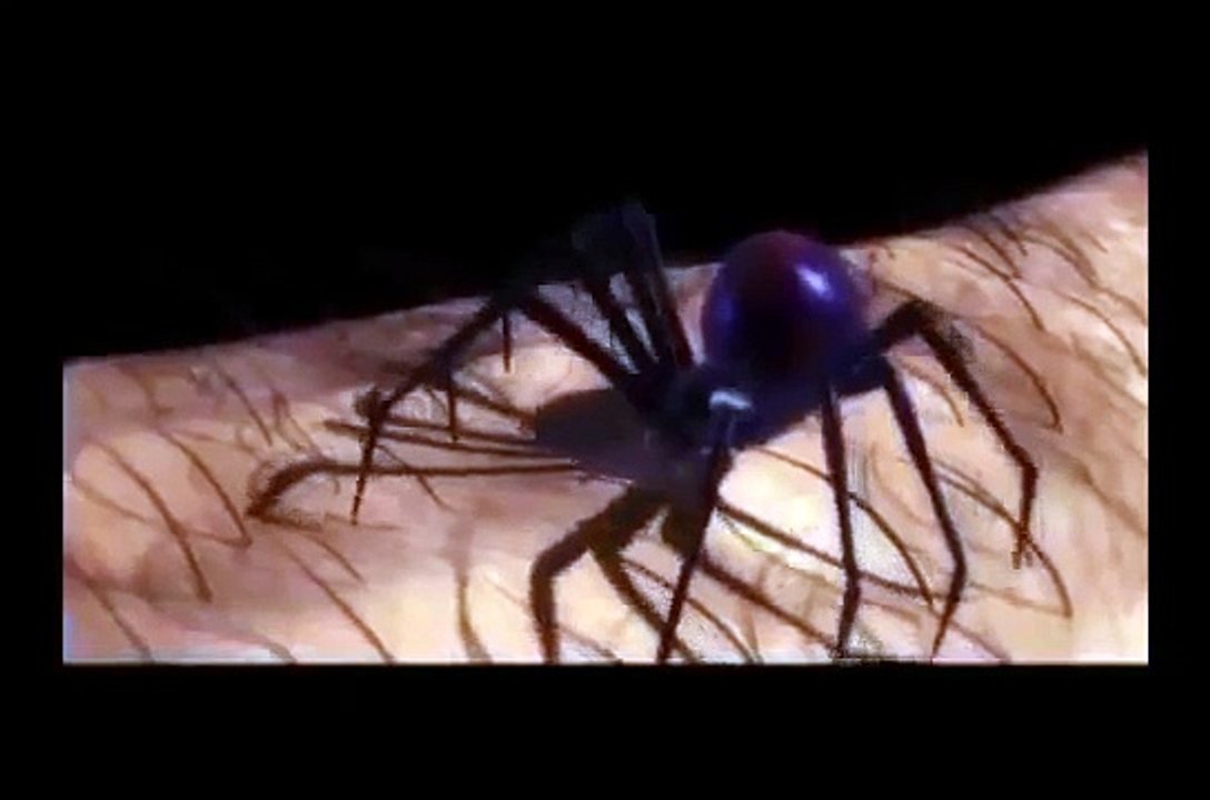 SpiderMan Movie Game - SpiderMan Cartoon Movies Inspired The Amazing SpiderMan Games