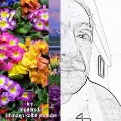 ALLAHIN SANATLI VARLIKLARI çok şey kısa zamanda yapılır