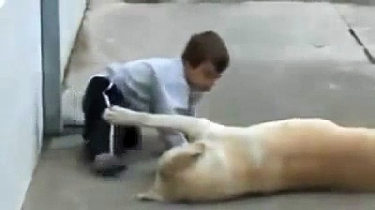 Friend dog comforts cute kid Chien doux confort enfant mignon כלב מנחמת את הילד