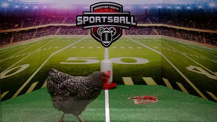 Chicken Predicts NFL Playoff Losers #2 - Sportsball