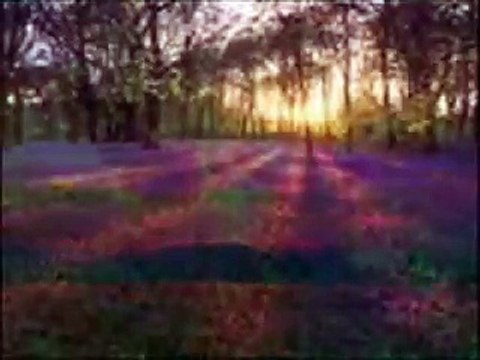 Umut altincag - Merdena mina