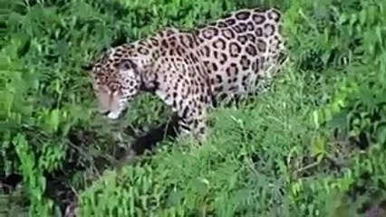 VID-20151122-WA0011
