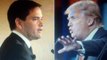 Who will be Donald Trump Vice President Rubio or Carson ?