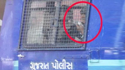 OMG! Shahrukh Khan Has Been ARRESTED?