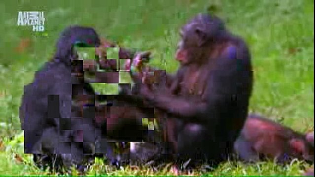 Вся суть женской логики за 30 сек. Очень прикольно)))