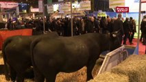 Échanges « rugueux » lors de la visite de Manuel Valls au Salon de l'agriculture