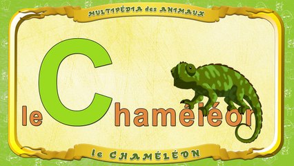 Multipédia des animaux. La lettre C le Caméléon