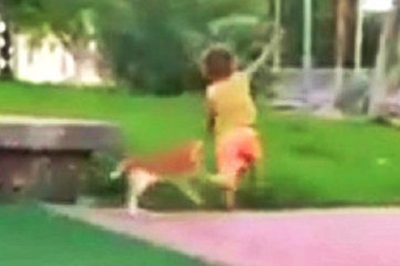 Instant Karma For Brat That Steps On Cat's Tail