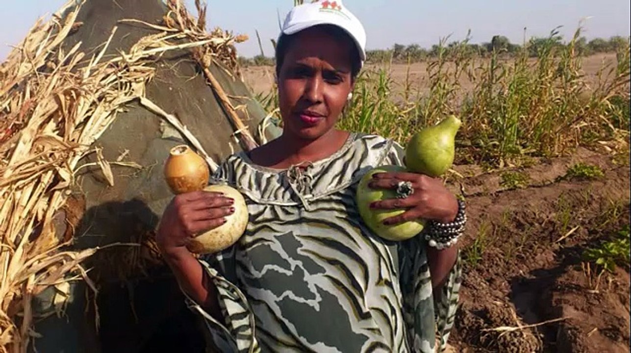 Zamzam Ali Rooble (Aduunyada) somali new music 2013