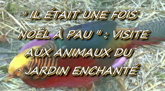 IL ÉTAIT UNE FOIS NOËL À PAU - 13 DÉCEMBRE 2015 - VISITE AUX ANIMAUX DU JARDIN ENCHANTÉ - I I -