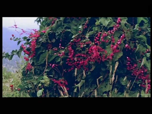 O Piya O Piya Sun - Romantic Song - Jis Desh Mein Ganga Rehta Ha